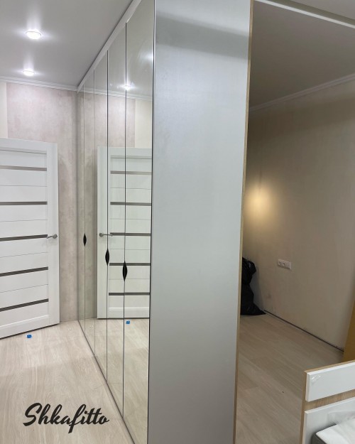 Шкаф перегородка на ул Понартская. Двухсторонний. По типу гармошка.